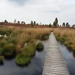 Rurtalgarten Semesterbostad Hammer