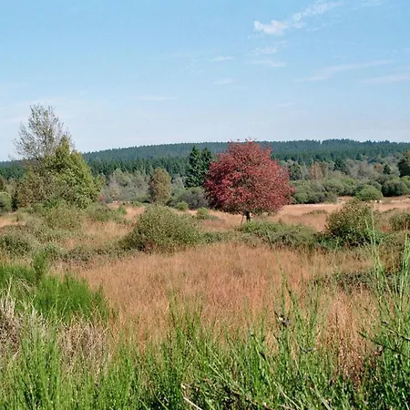 Nyaraló Rurtalgarten Hammer