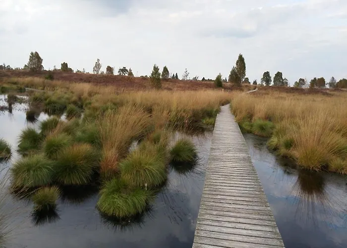 Rurtalgarten Semesterbostad Hammer